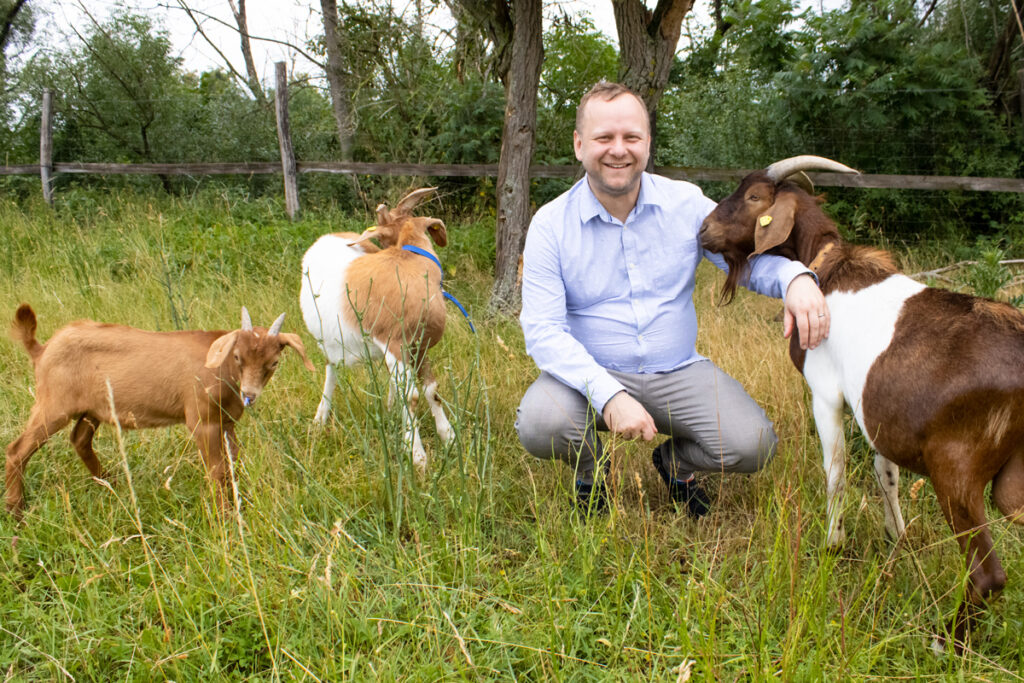 Eric Maes ist der neue Geschäftsführer des KJB Nickern in Dresden | Ein Mann mittleren Alters hockt auf der Weide umgeben von Ziegen.